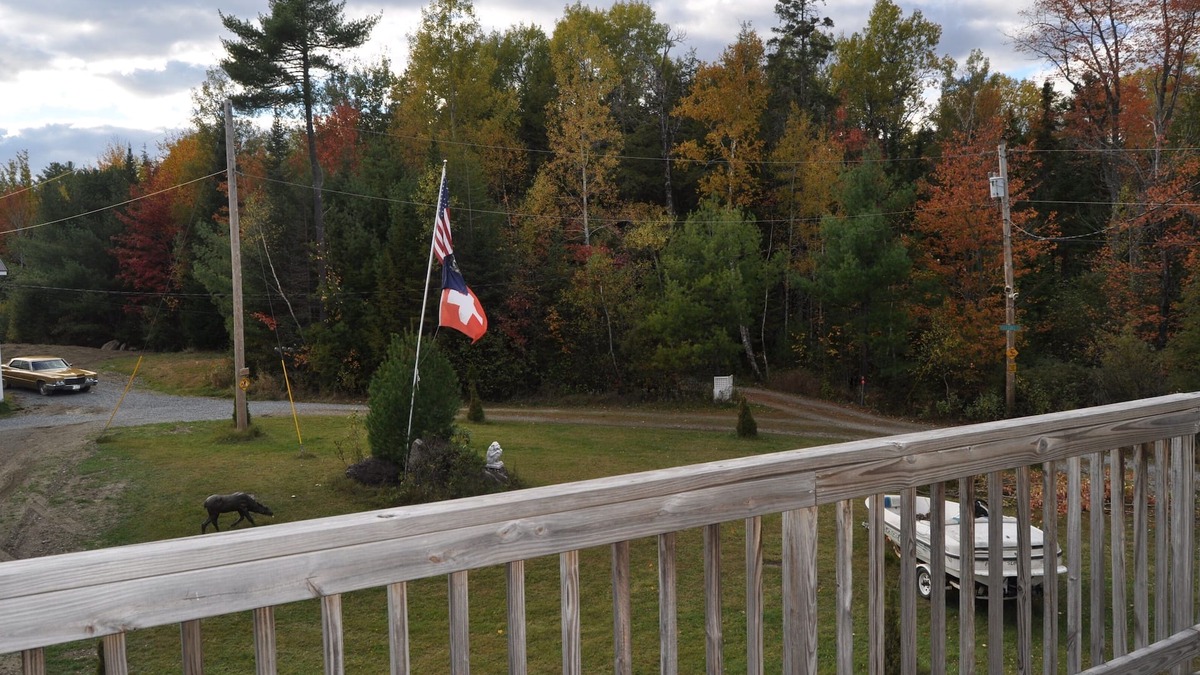 Glenburn Apartment | Beautiful Modern In the middle of a forest close to lake, with lake access