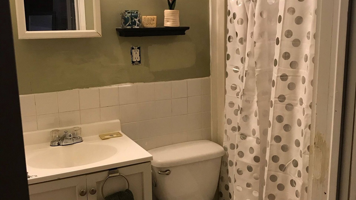 North Buffalo House | Beautiful north Buffalo home steps from Hertel ave and Delaware Park