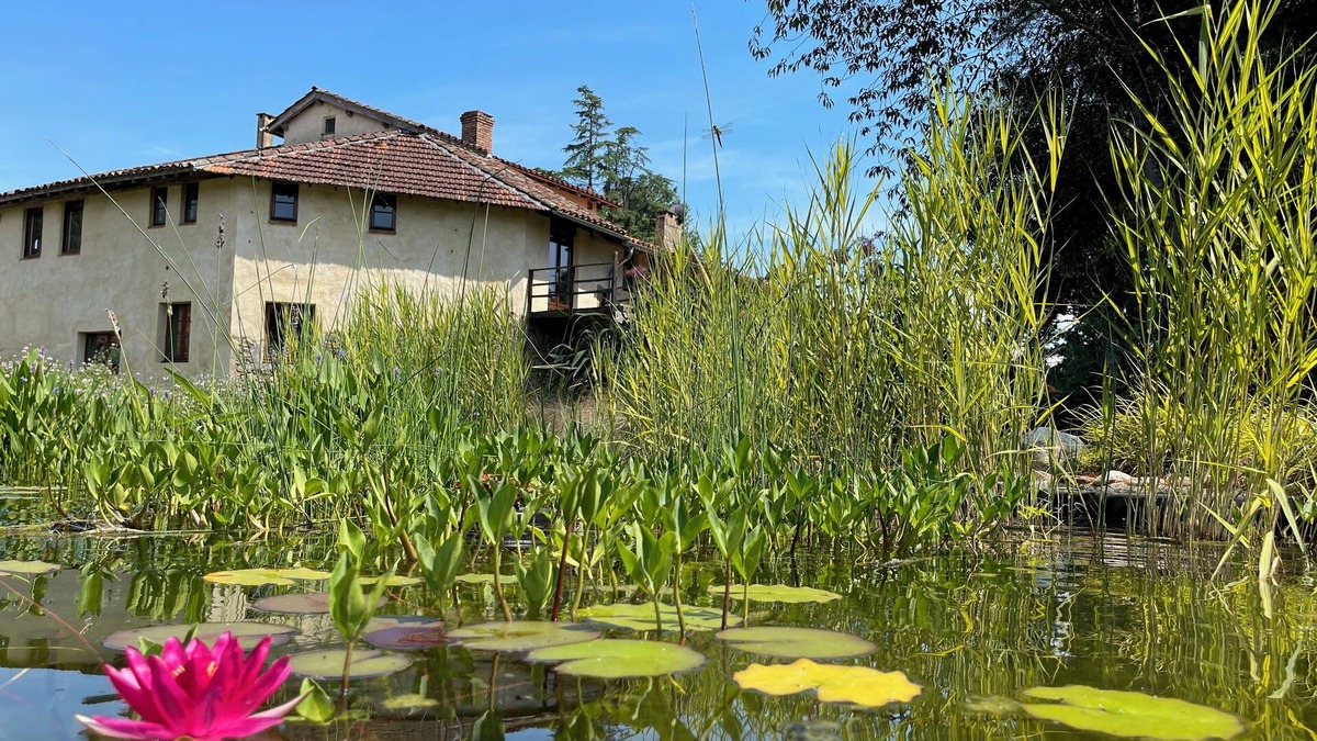Samouillan House | Beautiful old watermill with natural swimming pool. Only 50 minutes to Toulouse