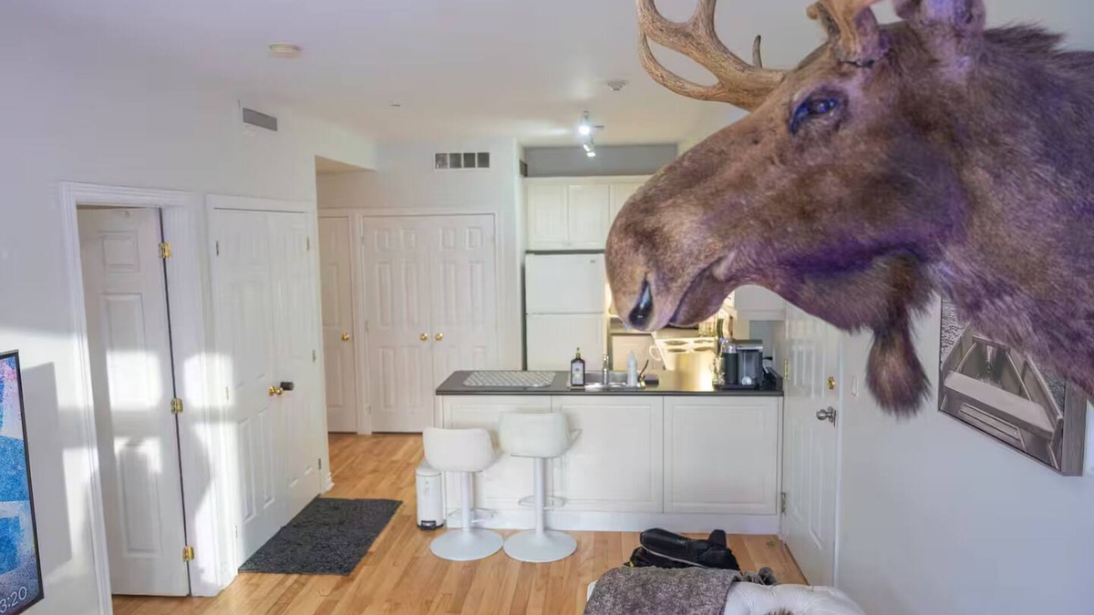 Church and Wellesley Condo | Beautiful Petit Gem Ap. In Downtown! Walk Anywhere
