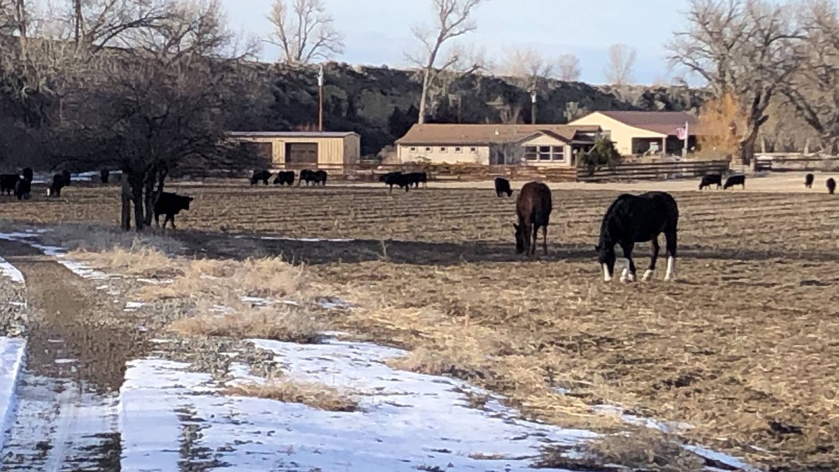 Basin House | Beautiful private Big Horn River Ranch House
