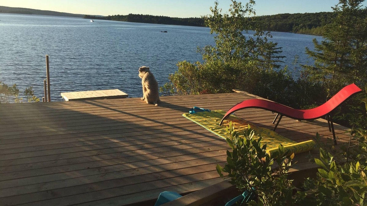 Lunenburg County Cottage | Beautiful private waterfront cottage on Sherbrooke Lake, Nova Scotia