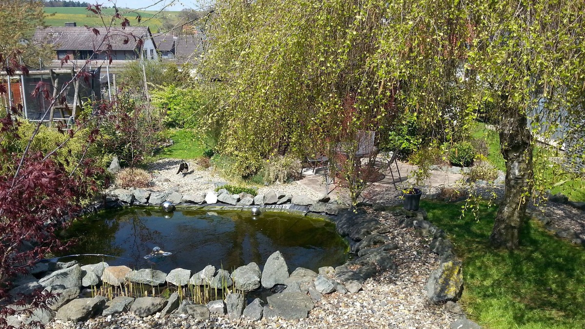 Frankenberg House | beautiful property with 2 cottages, sauna, forest edge, quiet location