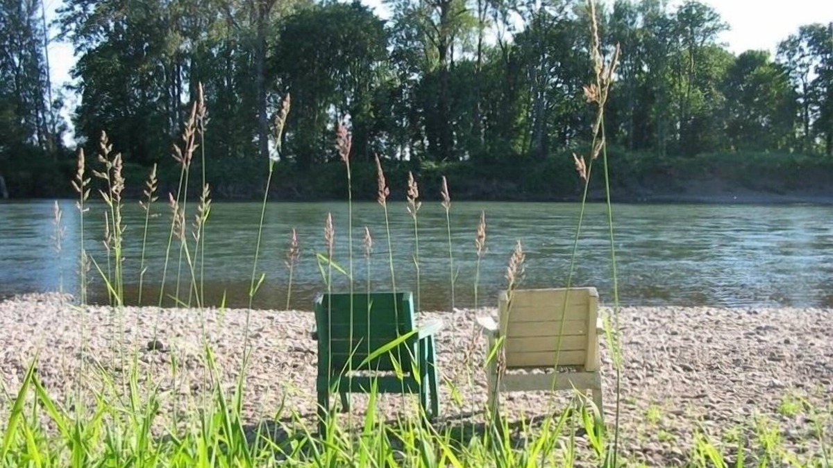 Willamette Valley Apartment | Beautiful, Quiet, Country Setting on Willamette River