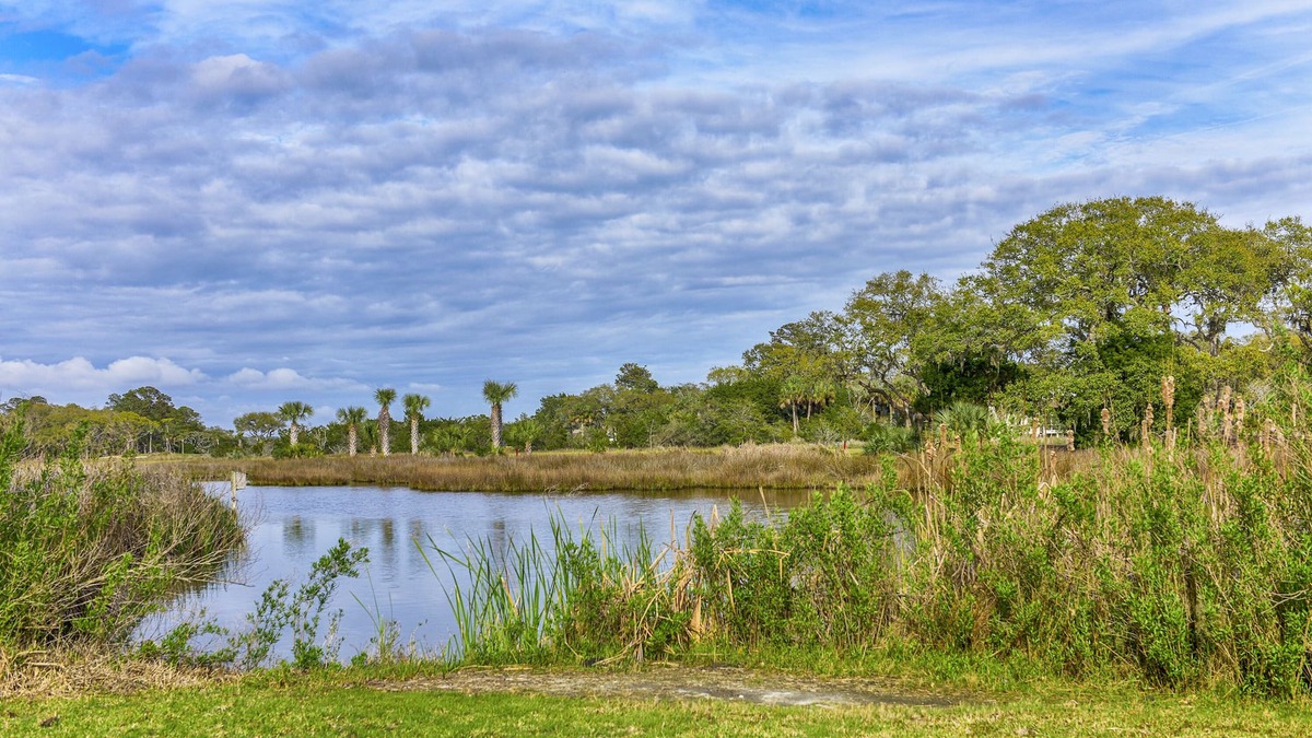Tarpon Pond House | Beautiful Remodeled Cottage! Screened Porch w/Water Views! Perfect Location! Amenity Cards!