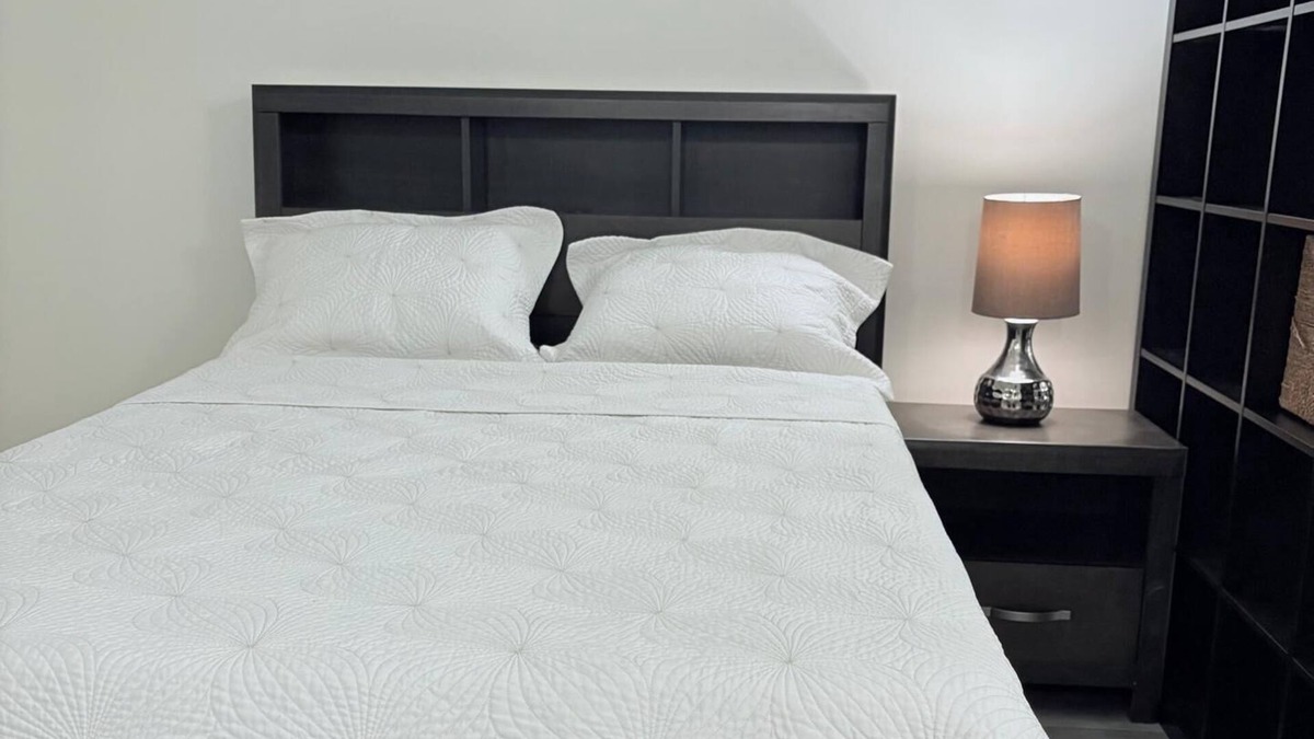 East Credit Apartment | Beautiful Renovated Basement Apartment