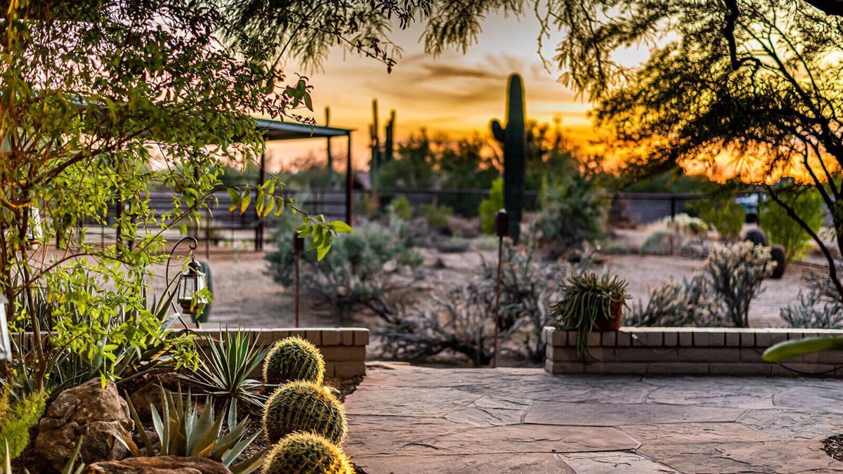 Desert View Village House | Beautiful Sonoran Desert Home-Dog Friendly. Discounted for 30 + day stays