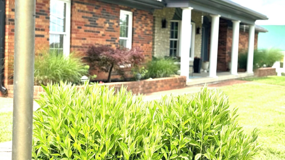 De Mossville House | Beautiful, spacious, country home. Close to The Ark! Hot-Tub! Pet-Friendly!