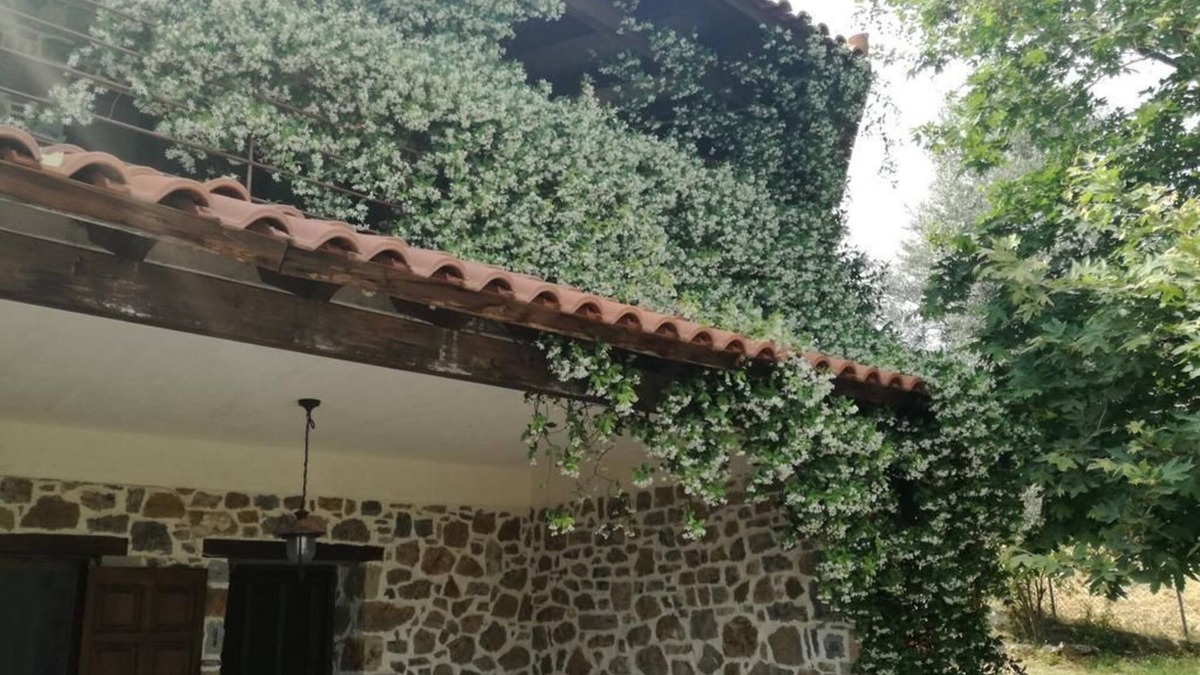 Dirfys-Messapia Villa | Beautiful stone house in Politika
