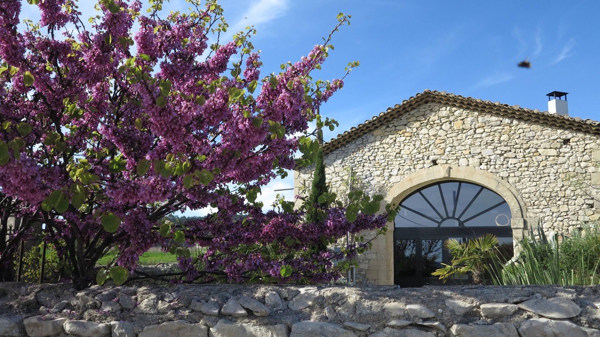 Montmirat House | Beautiful stone mas swimming pool south of France air conditioned with large shaded terrace