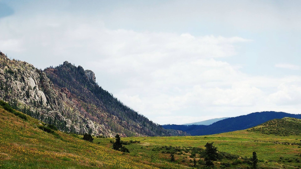 Livermore Apartment | Beautiful Suite in the Colorado Mountains w/Gourmet Breakfast