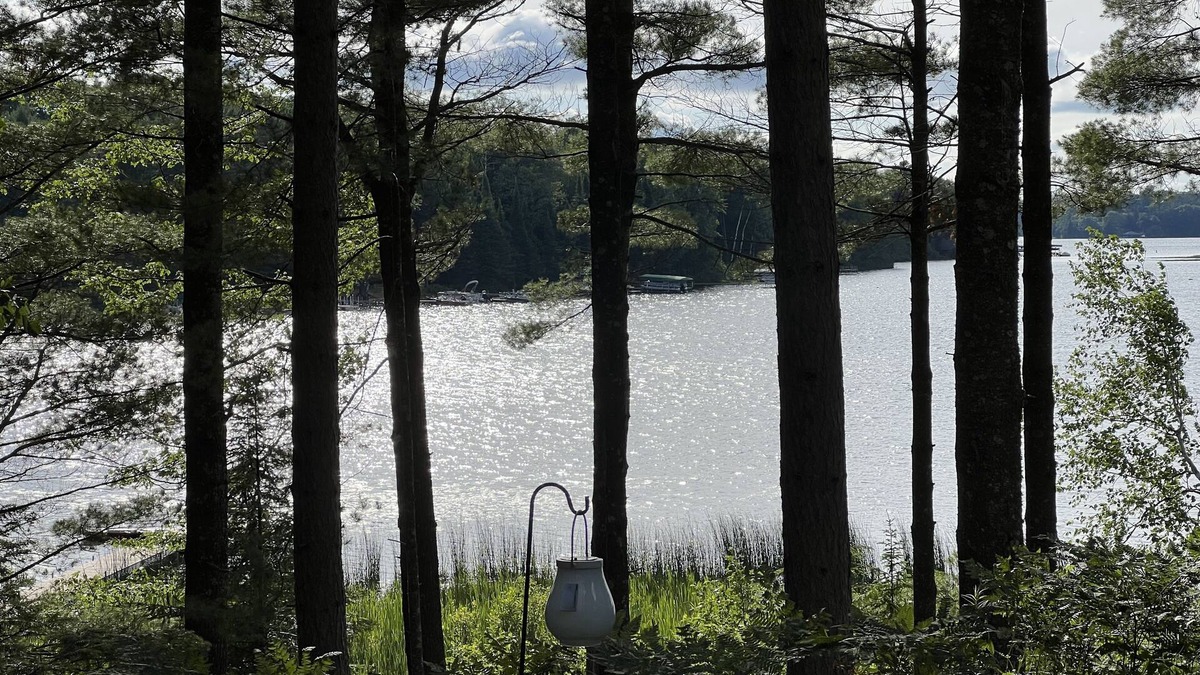 Sayner Cabin | Beautiful Two Bedroom cabin on Plum Lake