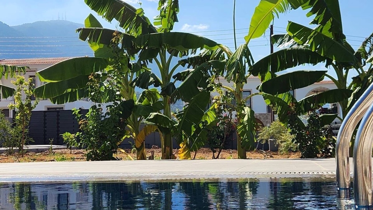 Karavas Villa | Beautiful villa with private pool sea & mountain view, full amenities, free WIFI