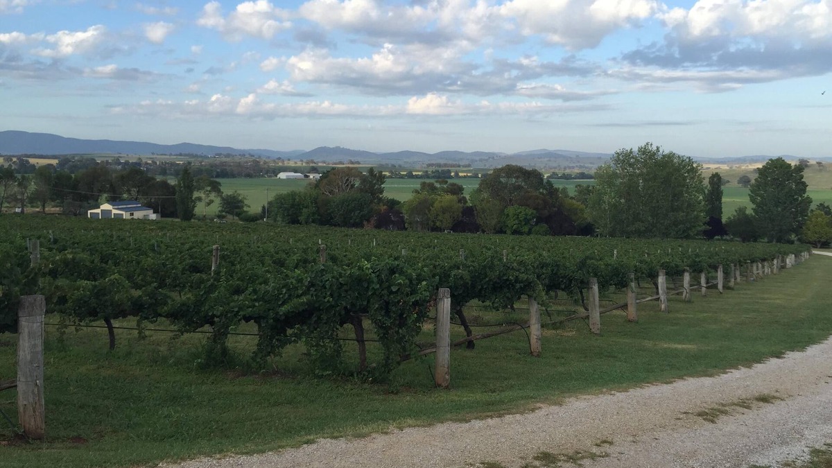 Eurunderee House | Beautiful Vineyard Accommodation