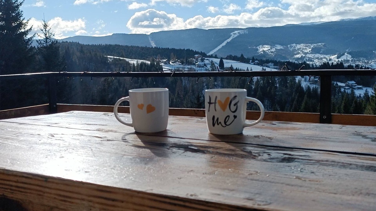 Pale House | Beautifull house with an amazing view on mountain Jahorina, 15min from Sarajevo