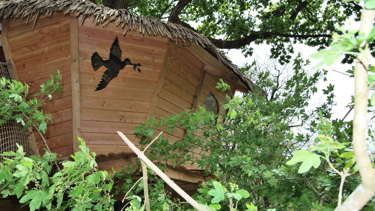 Salles-en-Toulon House | Beauty Park - Cabane des Buis 2 people
