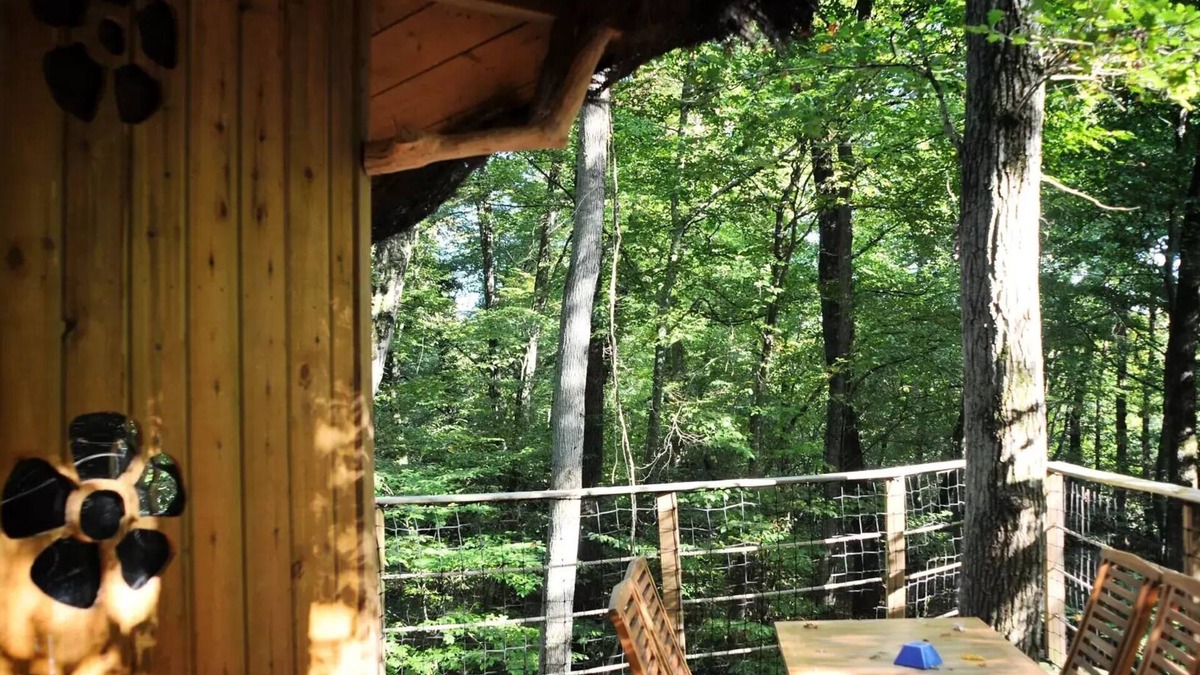 Salles-en-Toulon House | Beauty Park - Cabane des Lutins 5 people