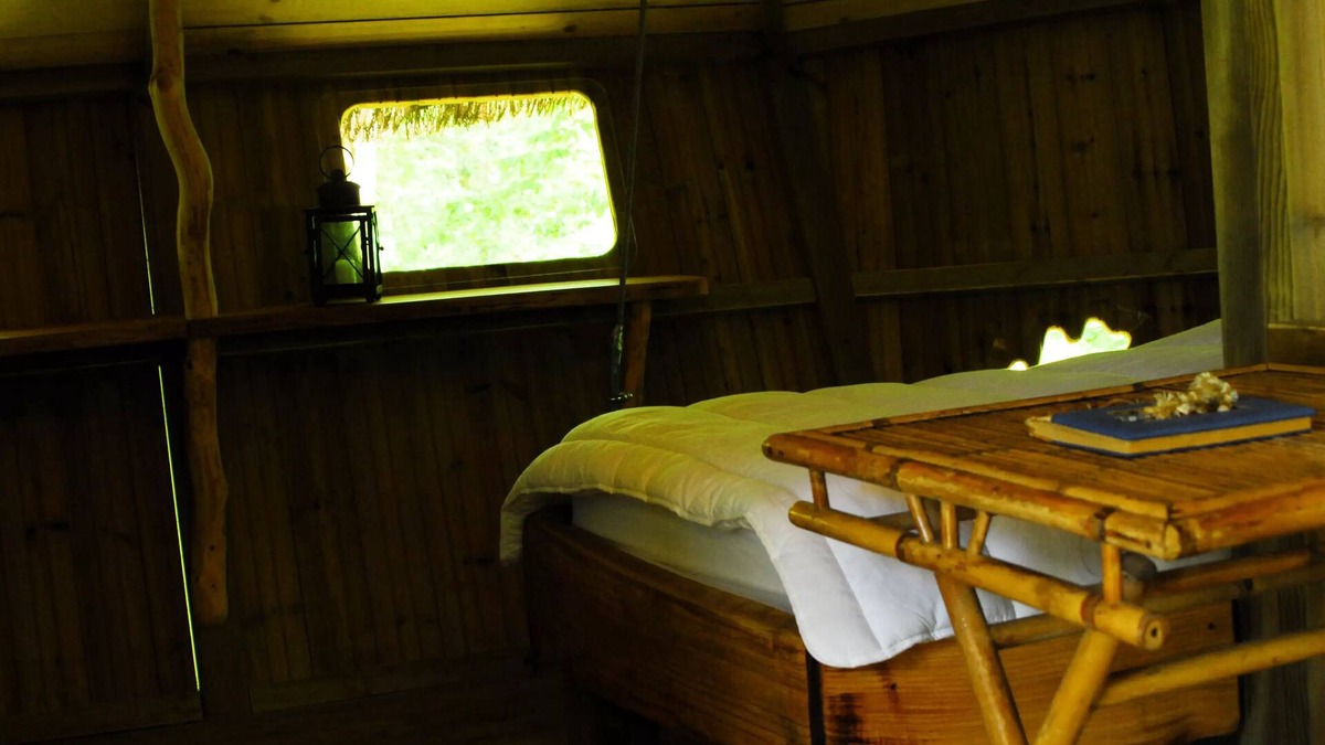 Salles-en-Toulon House | Beauty Park - Chimpanzee Hut 4 people
