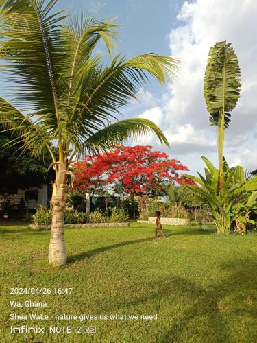 Wa Apartment | BeautyByNature Estate by "Khadija&Family", limited number of only 2 private rooms, homemade vegetarian dishes in a wonderful setting,