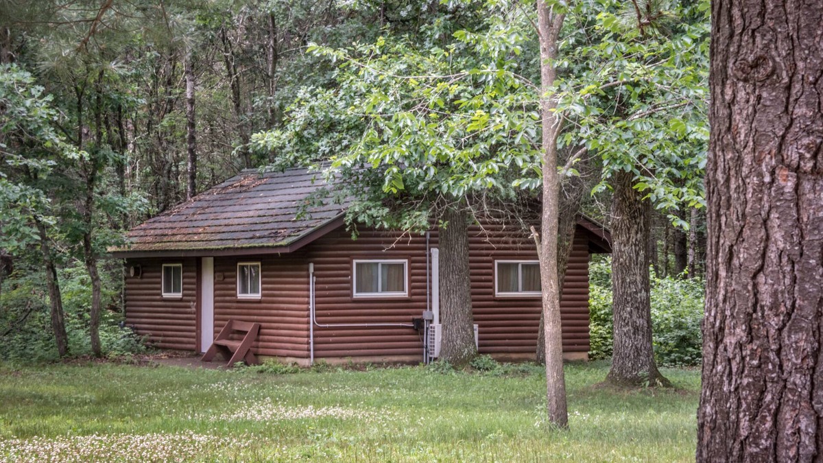 Jim Falls Cabin | Beaver Creek Reserve OLAV CABIN
