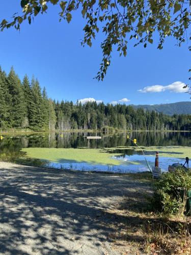 Lake Cowichan Other | Beaver Lake Resort Site #36