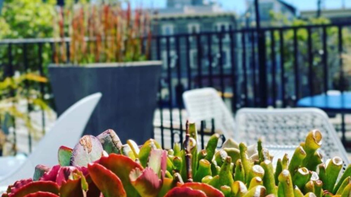 Duboce Triangle Hotel | Becks Motor Lodge