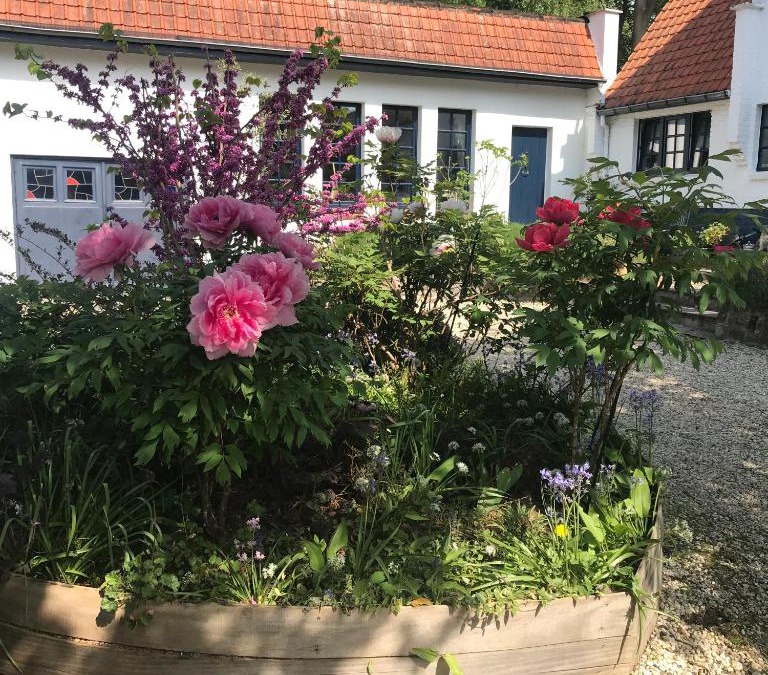 Sterrebeek Bed & Breakfast | Bed and Breakfast Ros & Marc