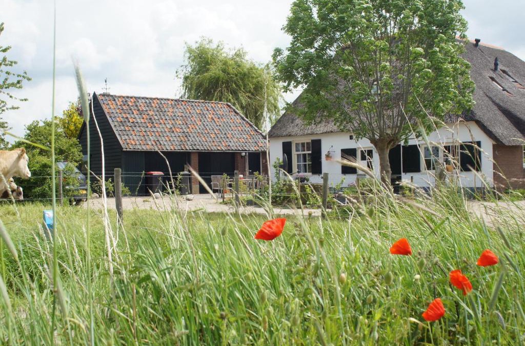 Epse Bed & Breakfast | Bed and Breakfast de Bosakker