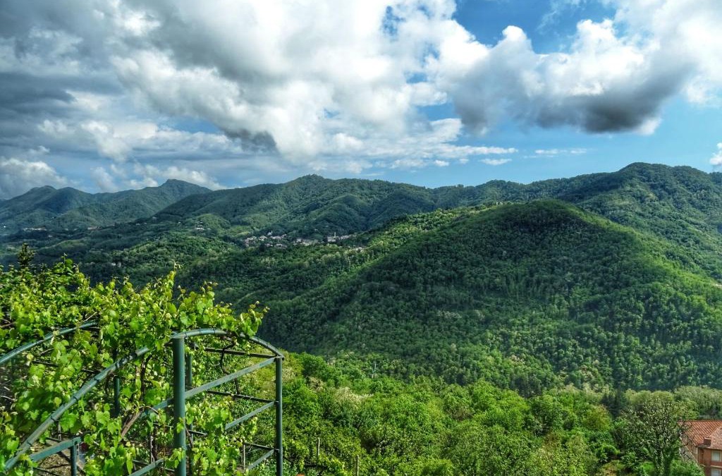 Ognio Bed & Breakfast | Bed and Breakfast Le Quattro Stagioni