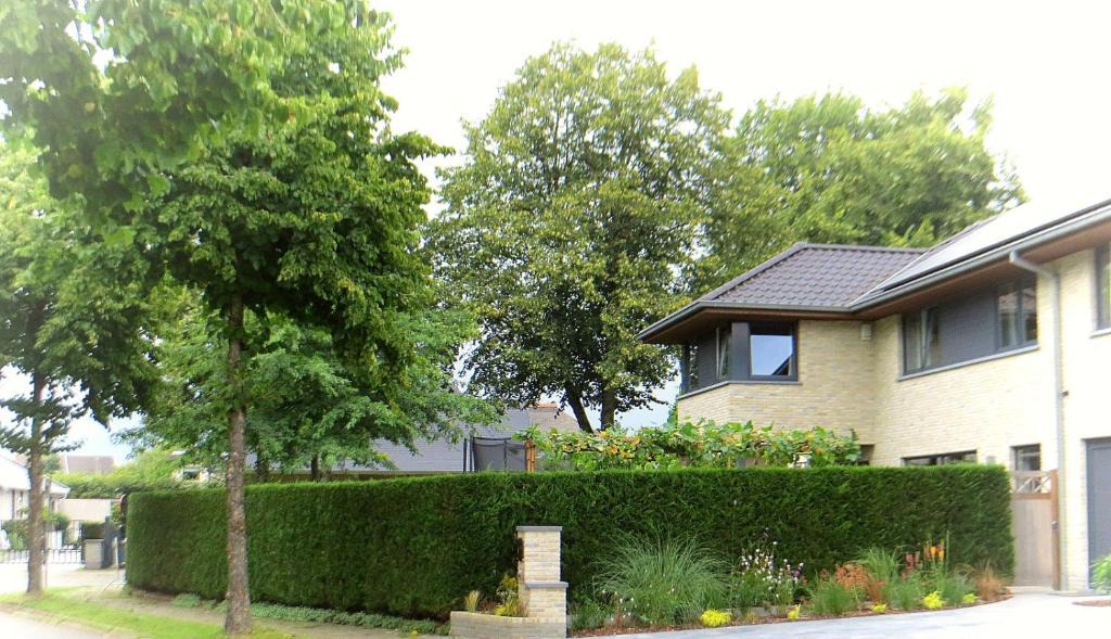 Ghent Bed & Breakfast | Bed and breakfast Mentari
