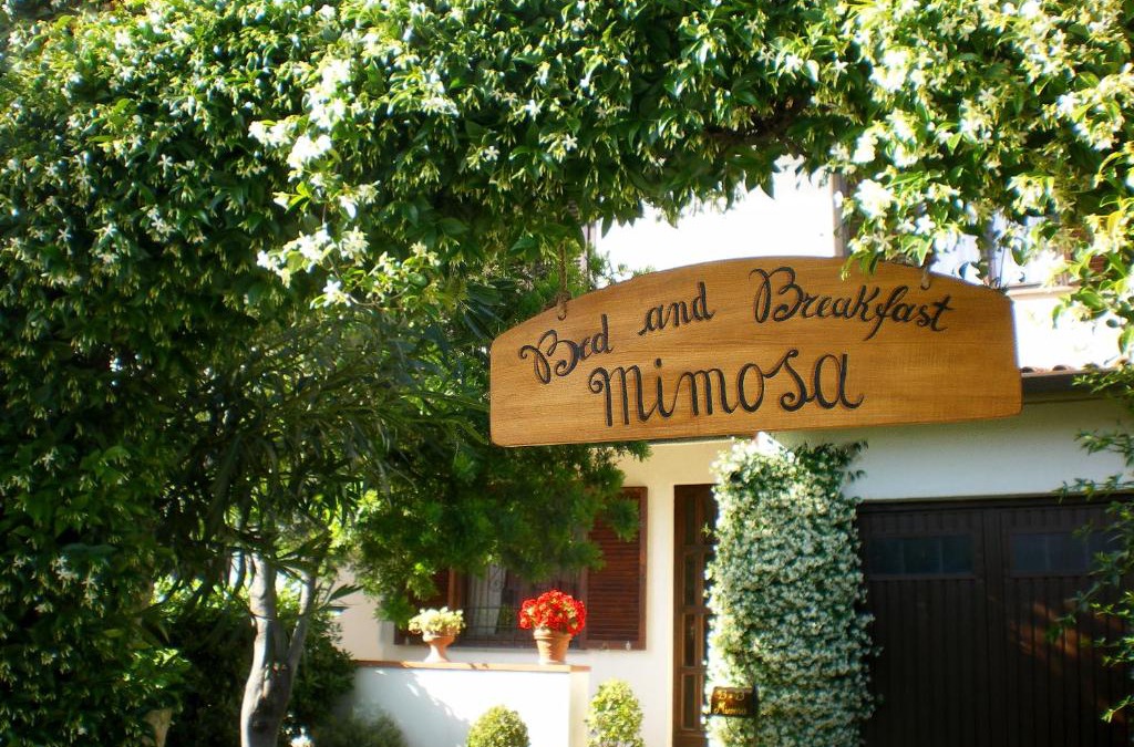 Cascina Bed & Breakfast | Bed and Breakfast Mimosa