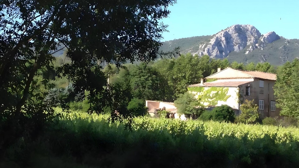 Brignoles Bed & Breakfast | Bed and Breakfast 'Suite Supérieure' with Mountain View, Shared Pool and Wi-Fi