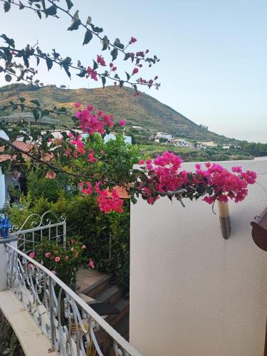 Pianoconte Bed & Breakfast | Bed and Breakfast Villa Angelina