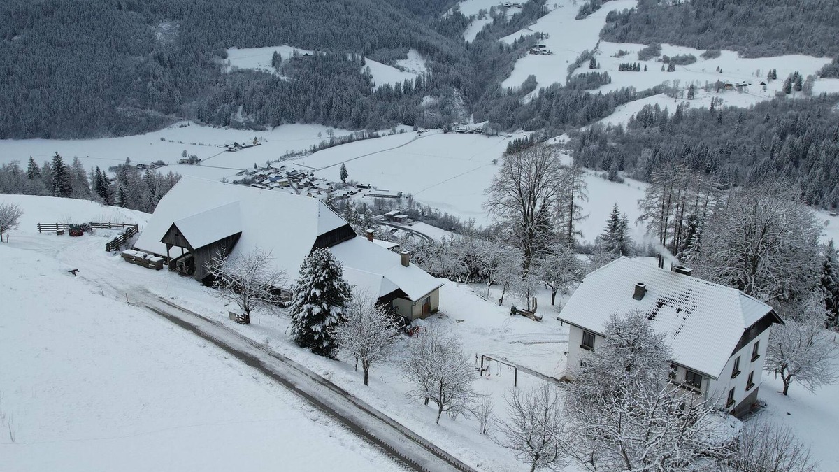 Althofen Apartment | Bed and breakfast Weilharter - double room, separate toilet and bath/shower, tea