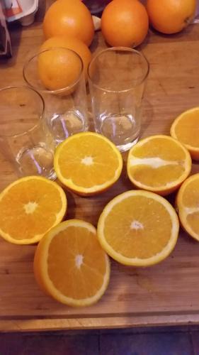 Municipality of Assen Bed & Breakfast | Bed & Breakfast 28 Appartement met Privé Tuin