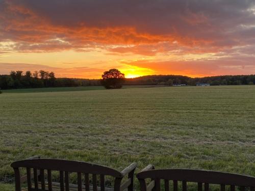 Tureby Bed & Breakfast | BED & BREAKFAST 5 MIN FROM e47 - DOGS WELCOME - COSY FARM BnB