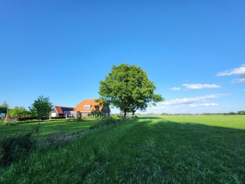 Terschuur Bed & Breakfast | Bed & Breakfast de Vink