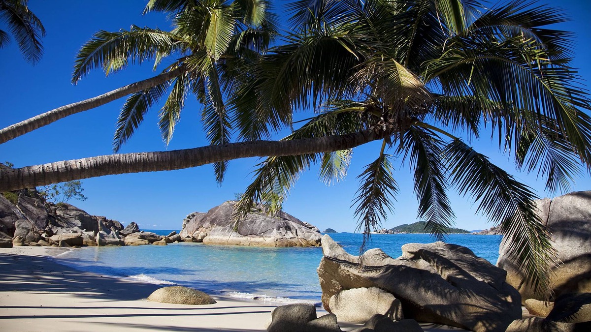 Bedarra Island House | Bedarra Beach House