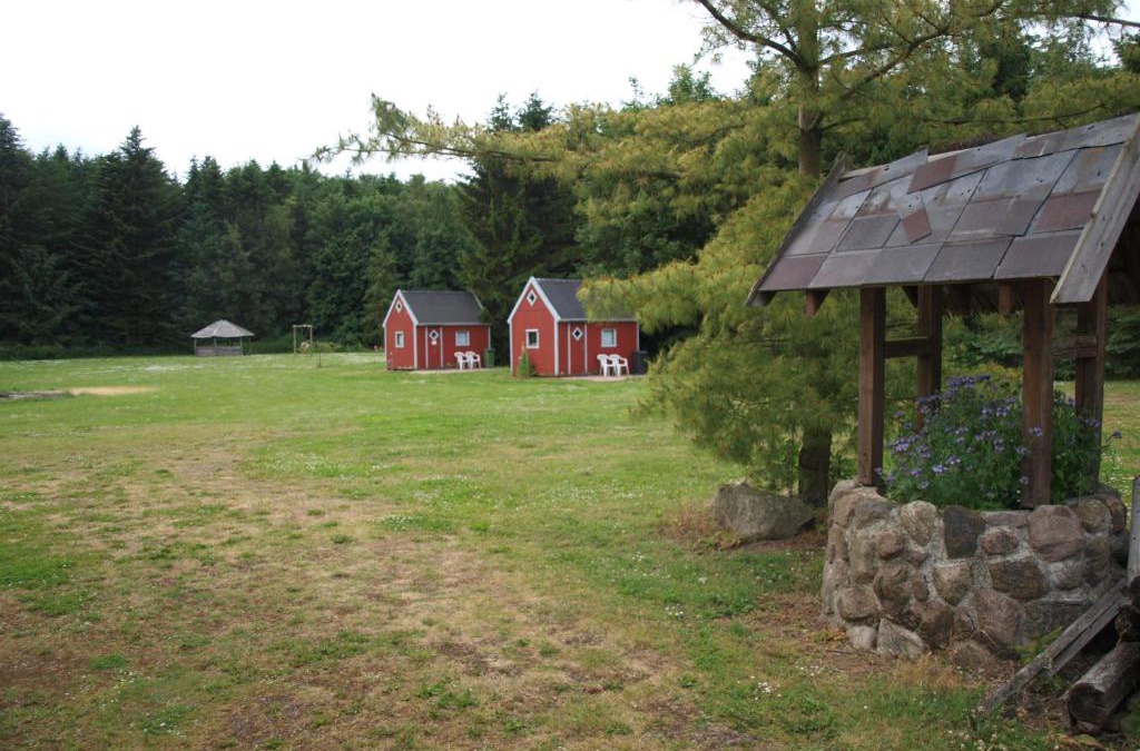 Ringsted Cabin | Bedstedhave