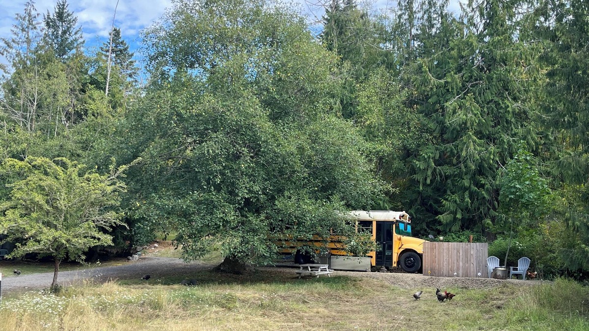 Rainier House | Bee Haven Bus at the RMR Farmstead with hot tub