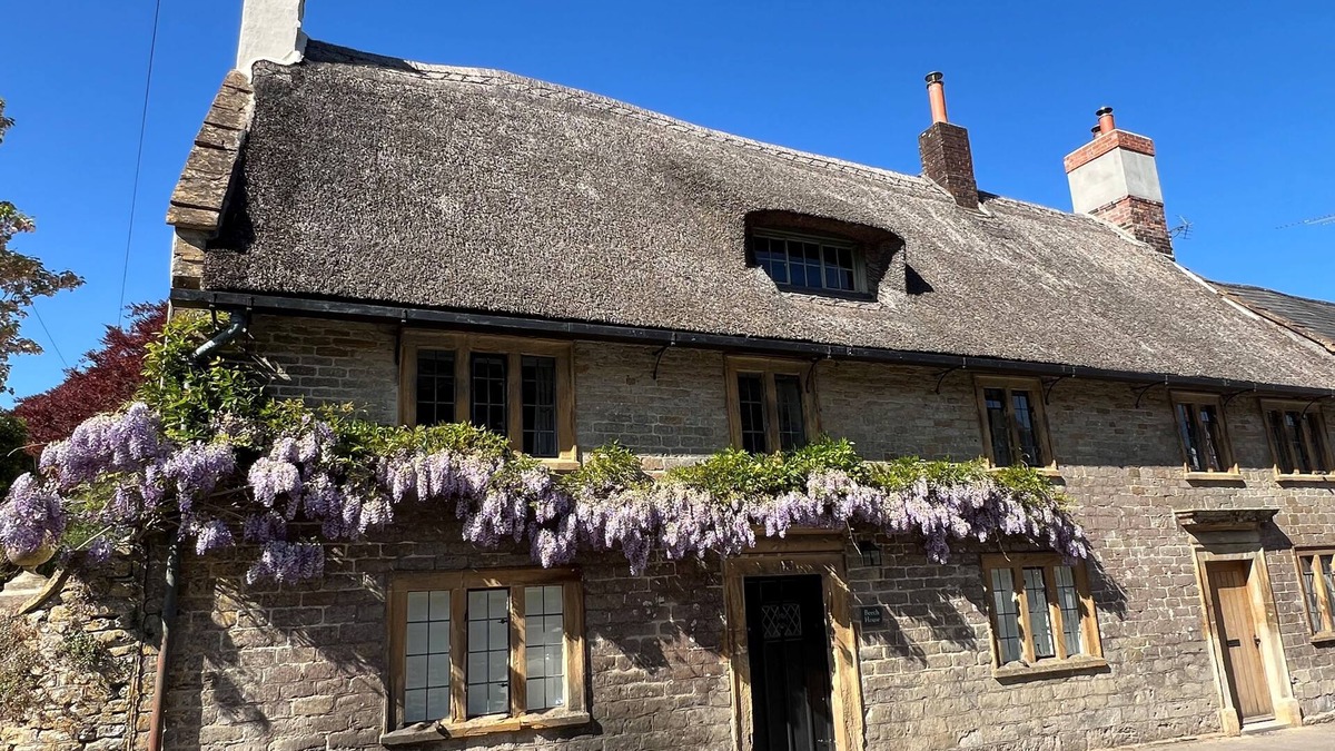 Evershot Cottage | Beech House - sleeps 9 guests in 5 bedrooms