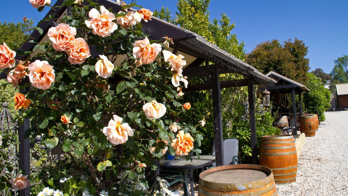 Beechworth Hotel | Beechworth on Bridge