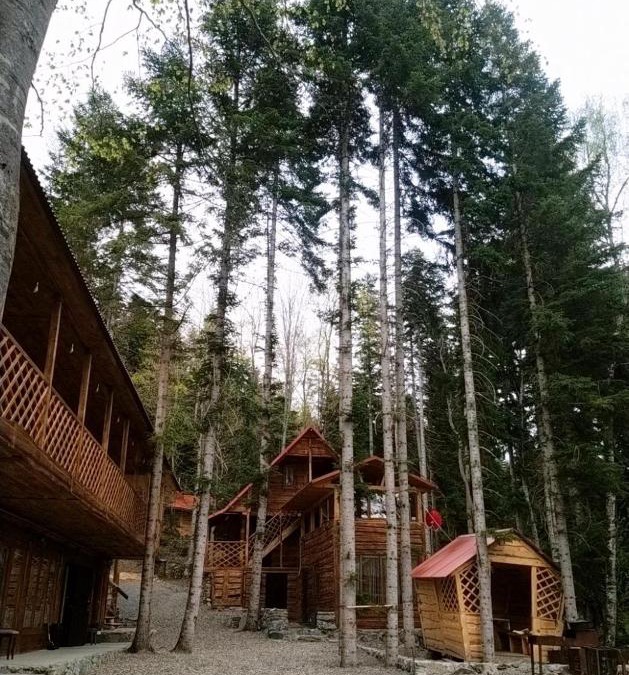 Arkhyz House | BeerLoga