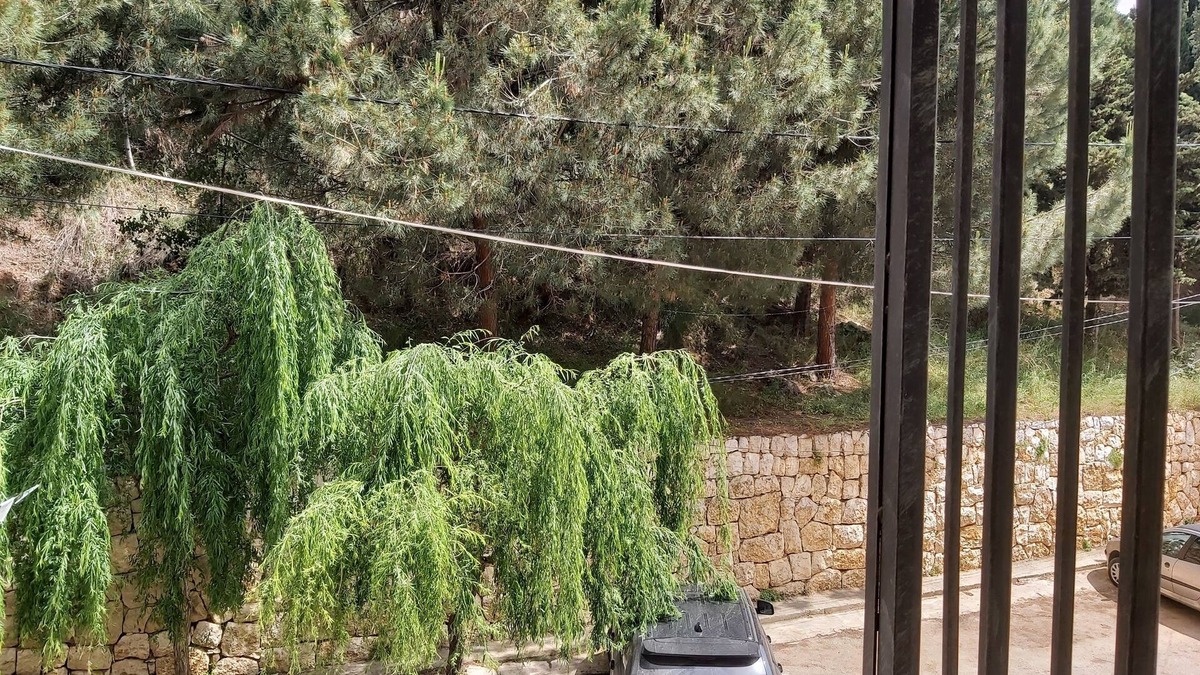 Duhur ash Shuwayr Apartment | Beirut view apartments