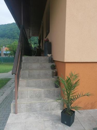 Bela Apartment | Bela apartment
