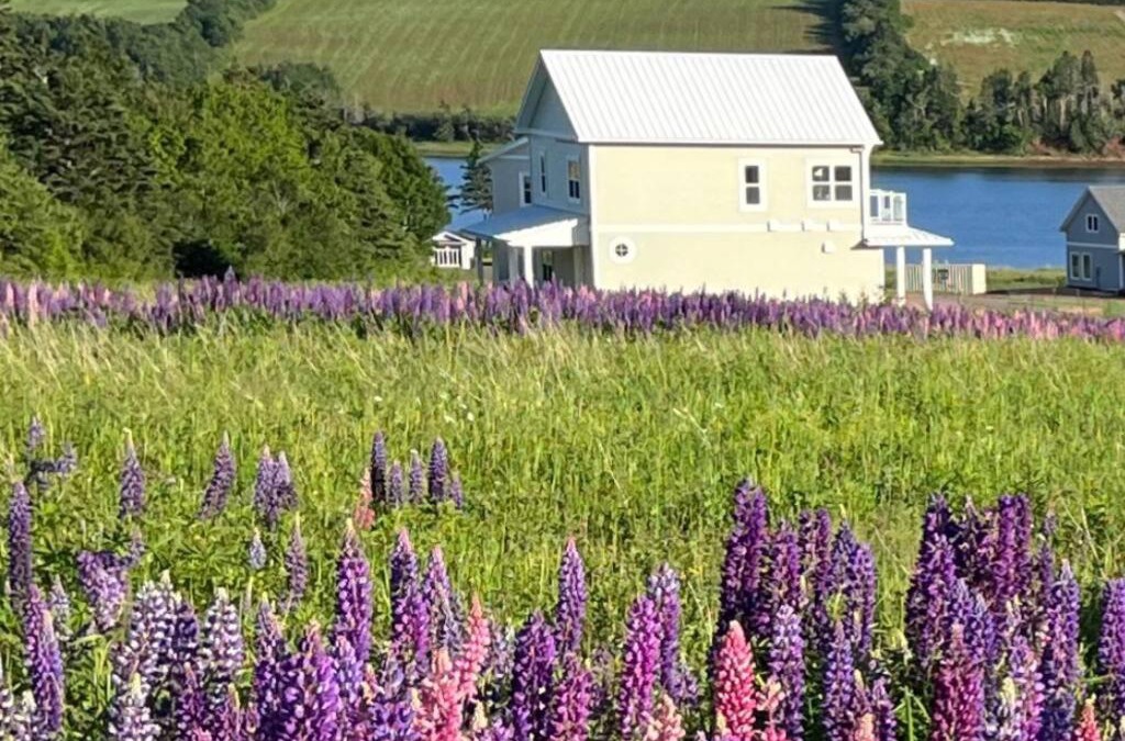 French River House | Bela Vista Getaway - PEI Tourism License #1201185