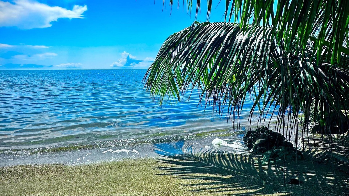 Forest Home House | Belize Bay Estate - private estate on the Caribbean shore.