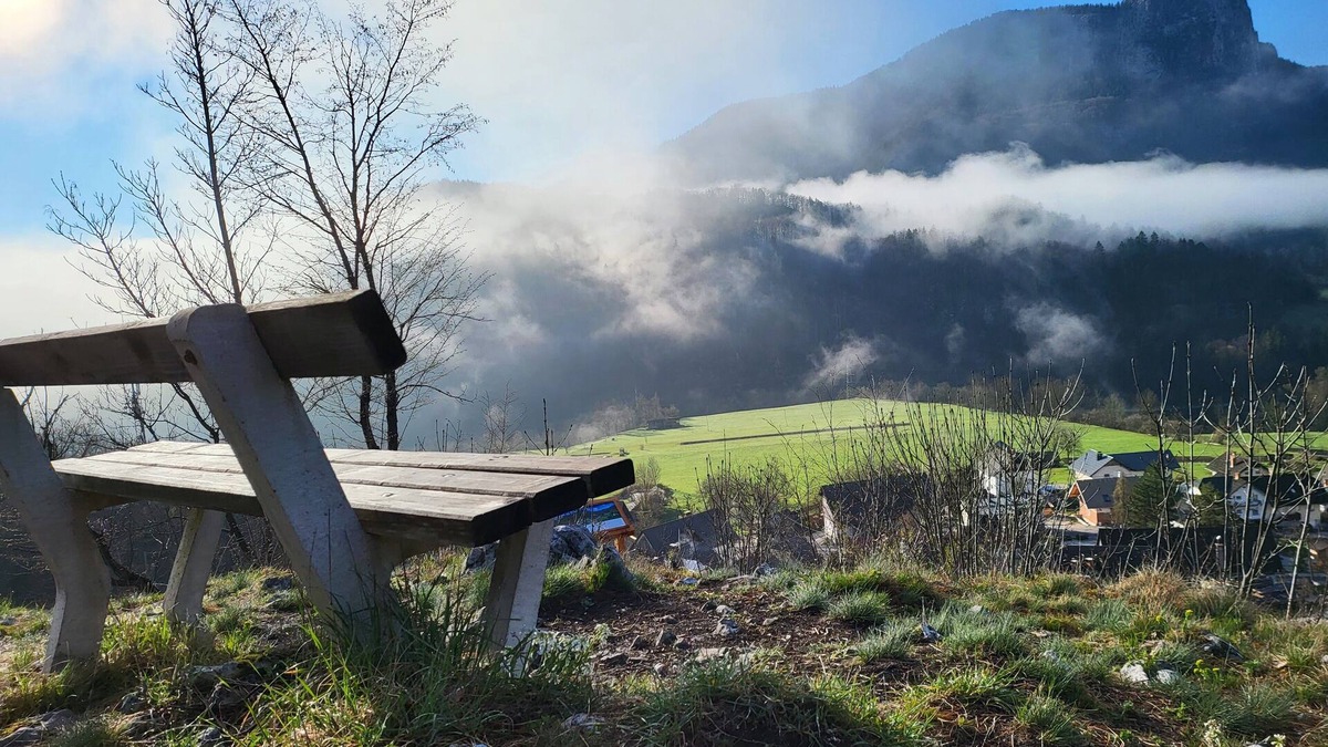 Bohinjska Bela Apartment | Bella Bela Apartments 1 - Ground floor