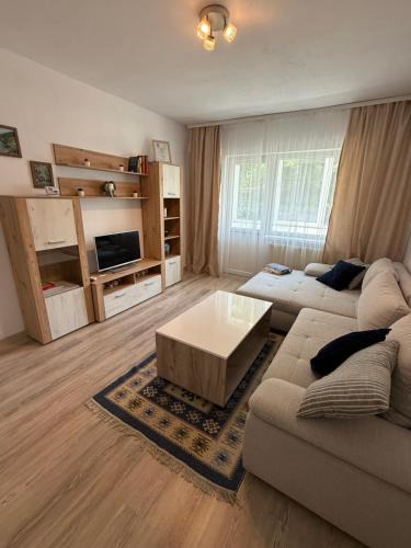 Lugoj Apartment | Bella Home 2, your place to stay in Lugoj
