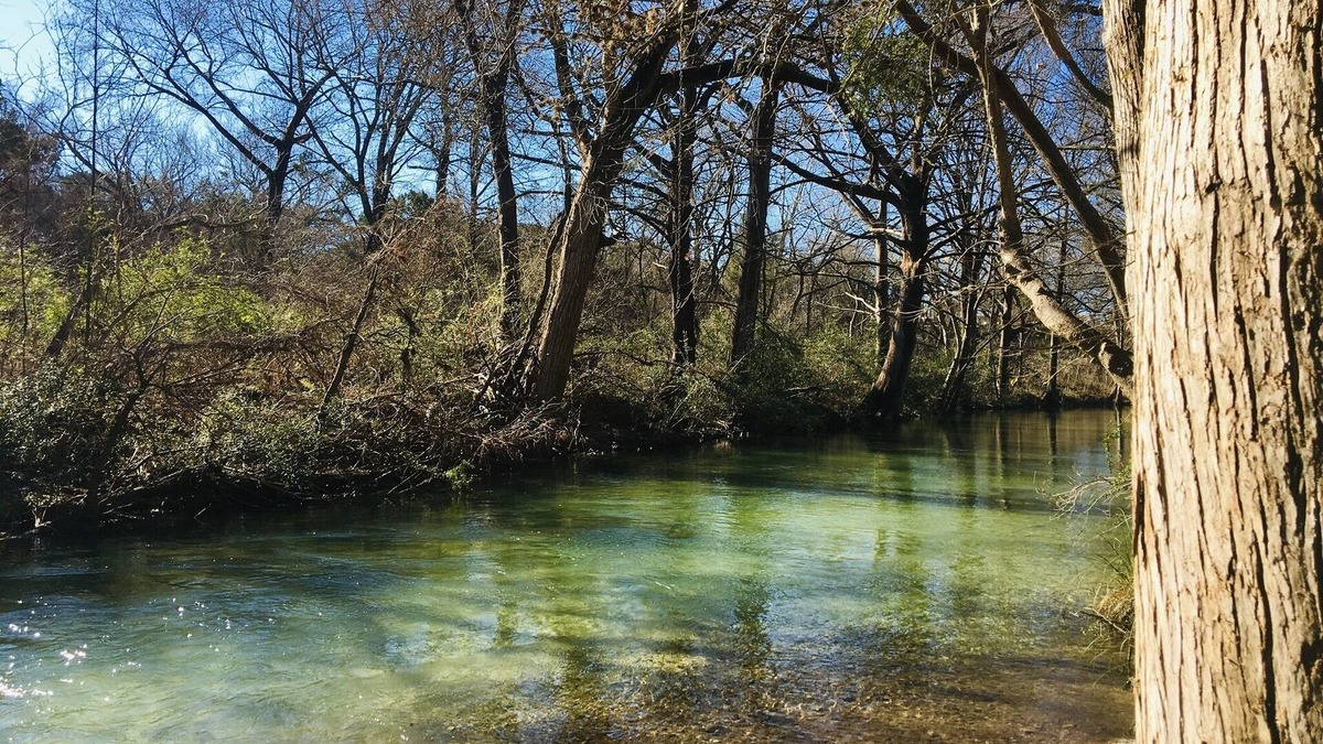 Wimberley Cottage | Bella Rosa Cottage - Stroll to Wimberley Square! Cypress Creek just steps away